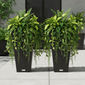 Black Statement Planters Square